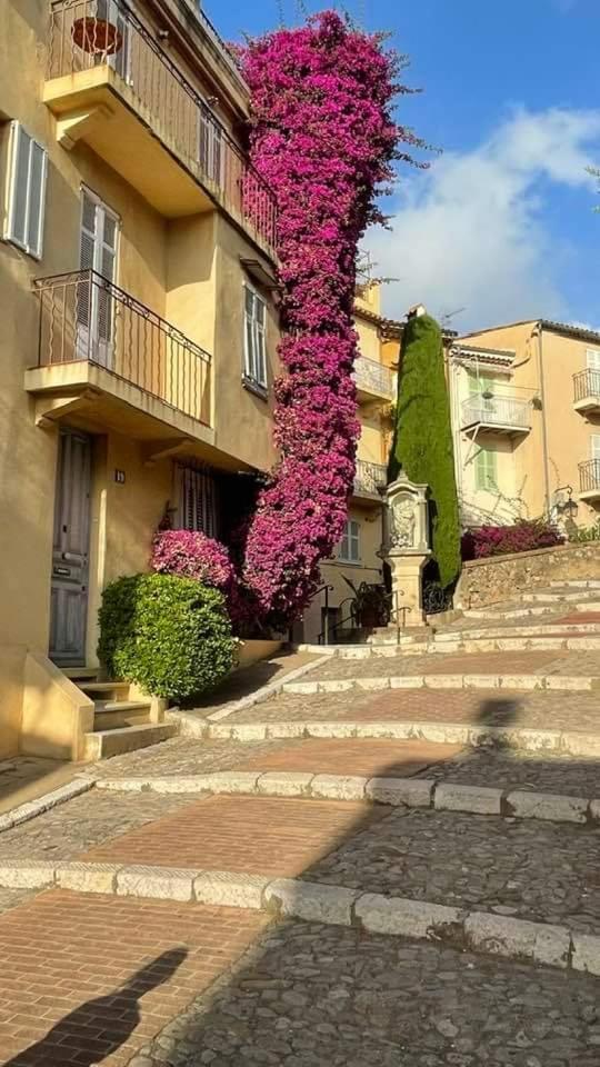 Cannes & More Εξωτερικό φωτογραφία